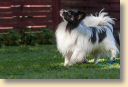 006A9471-fotoks.jpg