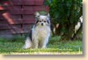 006A9472-fotoks.jpg