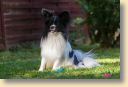 006A9480-fotoks.jpg
