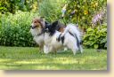 006A9533-fotoks.jpg