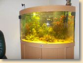 DSCN1128.jpg