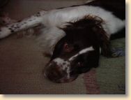 DSC00399.jpg