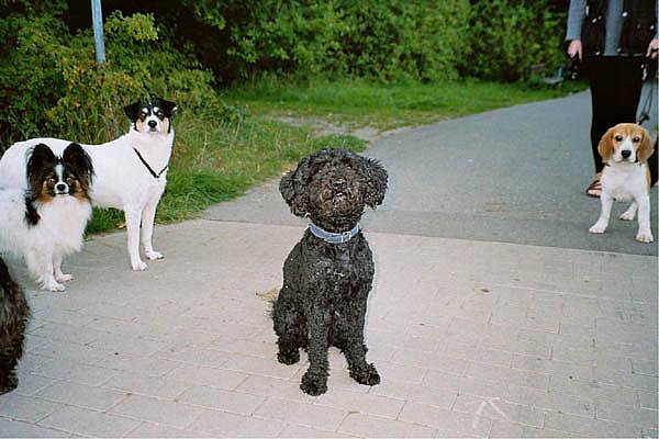 imm019_2614.jpg