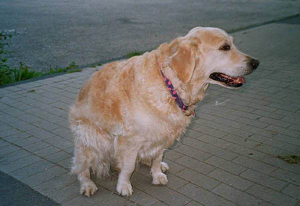 imm021_2816.jpg
