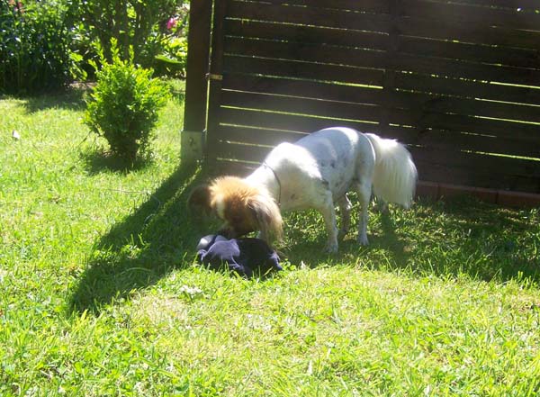 010609_Garten_Freunde_008.jpg