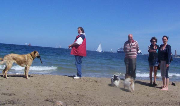 230609_002.jpg
