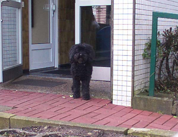 Maerz07_008.jpg