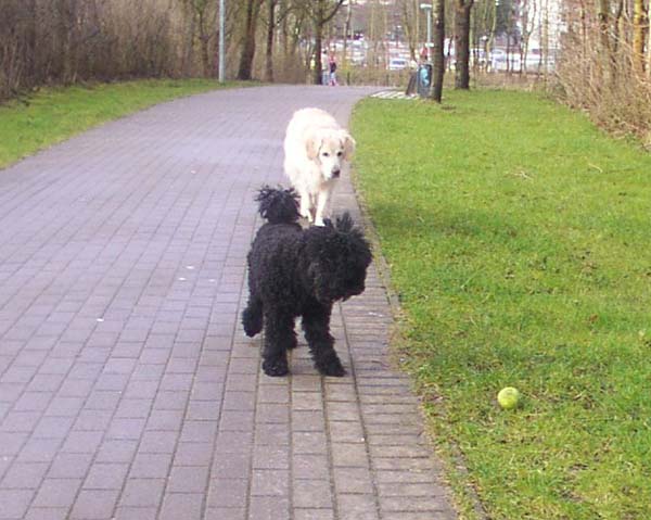 Maerz07_012.jpg