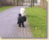 Maerz07_012.jpg