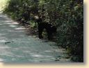 060904_dumbi2.jpg