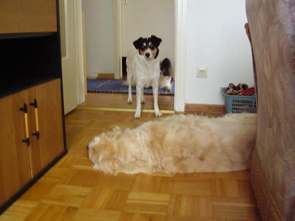 110807_003.jpg