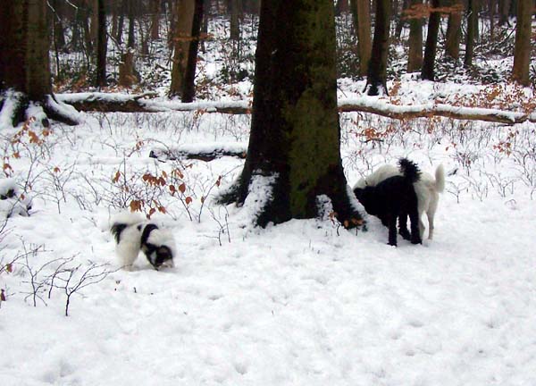 150209_001.jpg