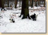 150209_001.jpg