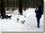 150209_002.jpg