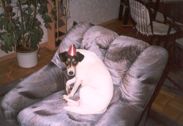 Silvester.jpg