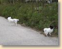 Kruemel013.jpg
