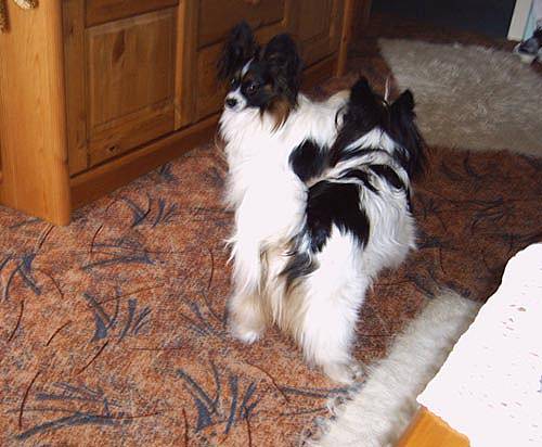 Kruemel025.jpg