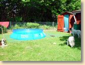 DSC00942.jpg