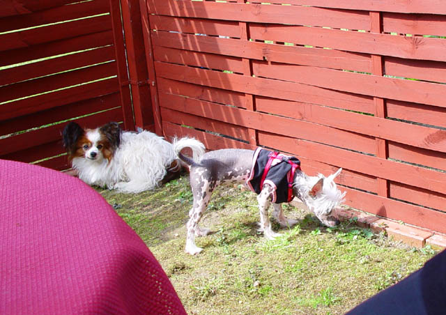 DSC00892.jpg