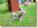 DSC00893.jpg