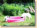 DSC00896.jpg