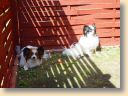 DSC00897.jpg