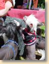 DSC00898.jpg