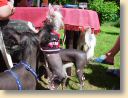 DSC00899.jpg