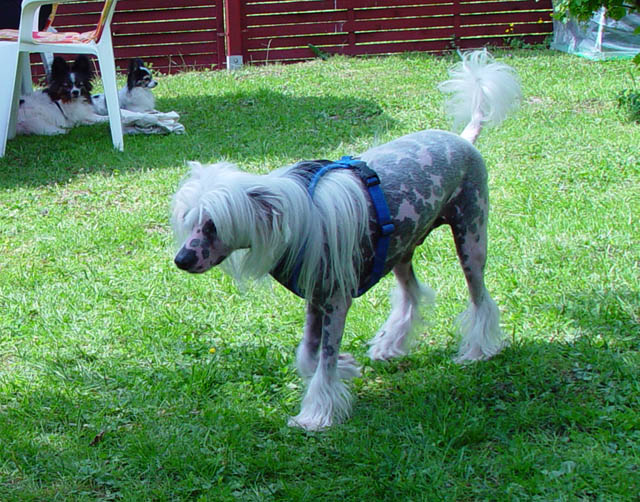 DSC00902.jpg