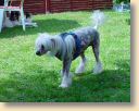 DSC00902.jpg