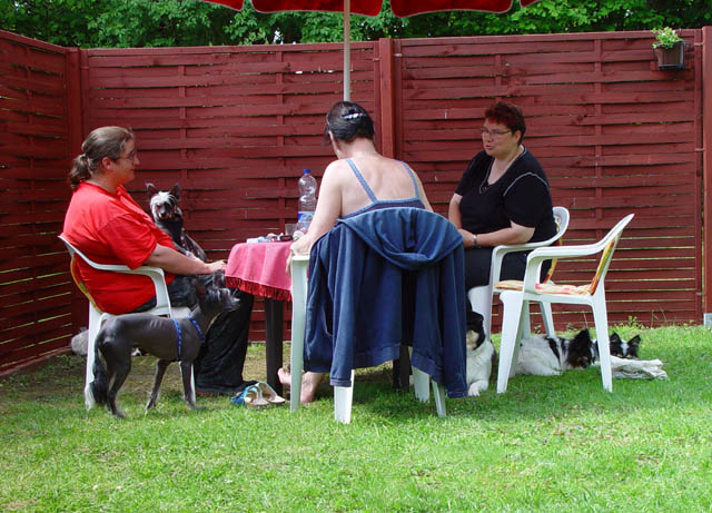 DSC00904.jpg