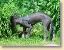 DSC00907.jpg