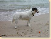 DSC00922.jpg