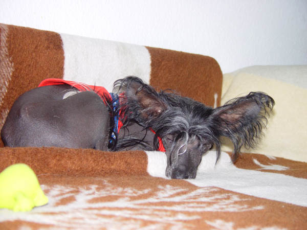 Ich bin also der Kassi