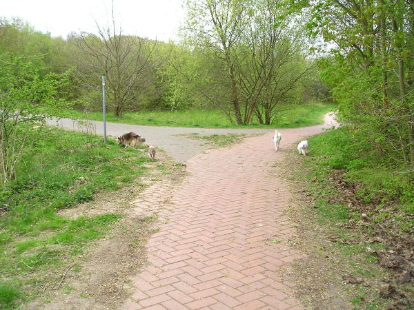 P1010012.JPG