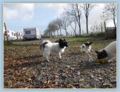 DSCN1327.jpg