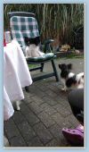 IMG_20170901_160050772.jpg