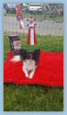 IMG-20180310-WA0000.jpg