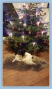 IMG-20180310-WA0003.jpg