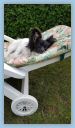 IMG-20180310-WA0004.jpg