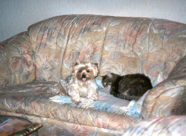 loulou4.jpg
