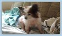 IMG-20190124-WA0006.jpg