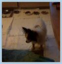 IMG-20190125-WA0001.jpg