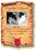 FreundeUrkundeKevin.gif
