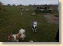 DSCN1091.jpg