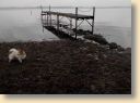 DSCN1092.jpg