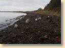 DSCN1099.jpg