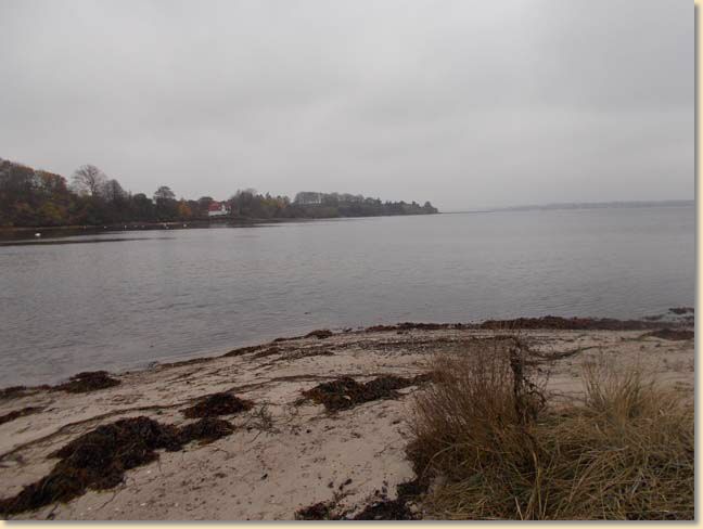 DSCN1101.jpg