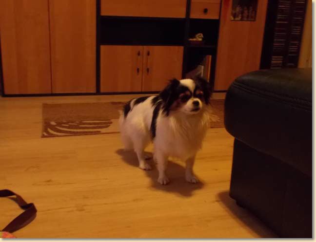 DSCN1131.jpg