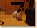 DSCN1131.jpg